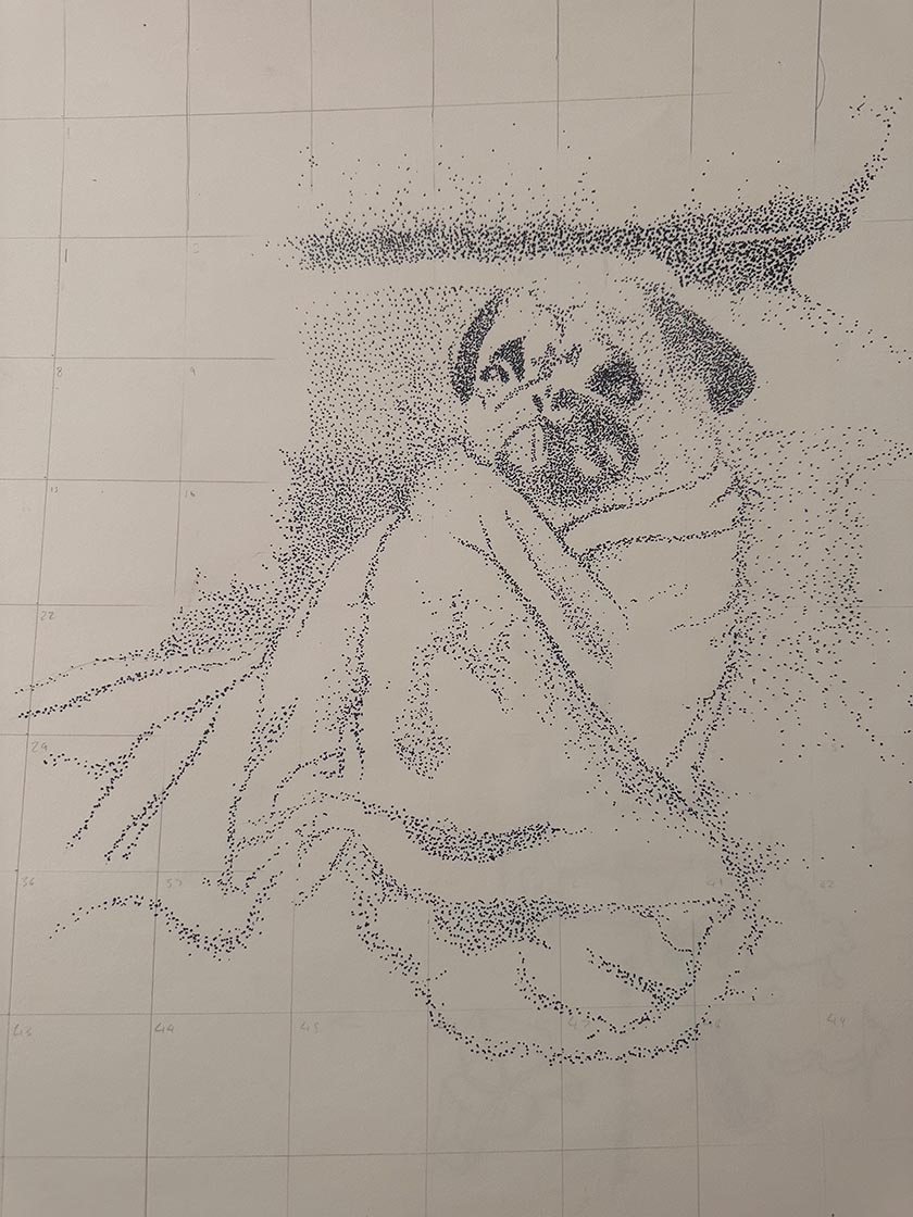 dog