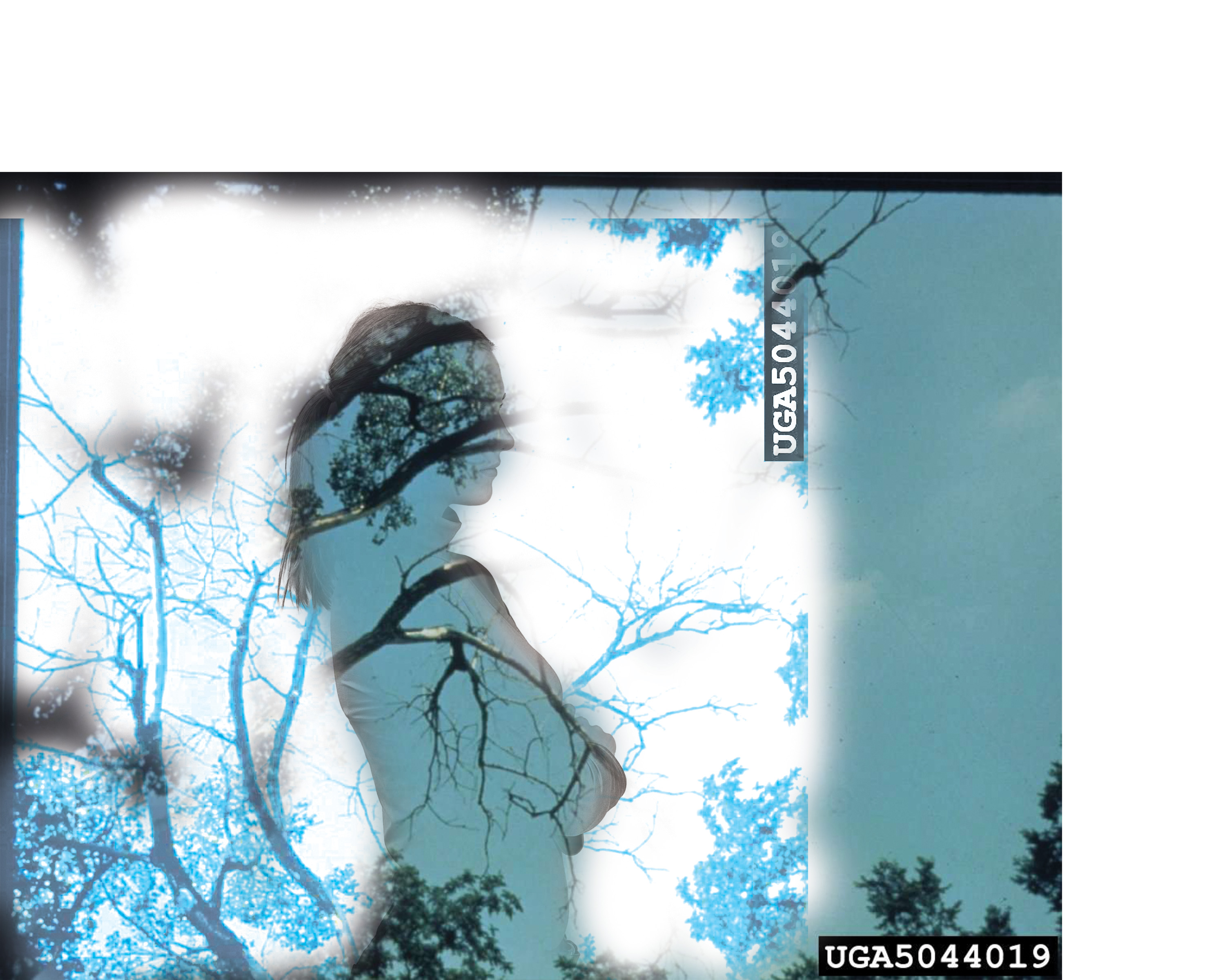 Photoshop image